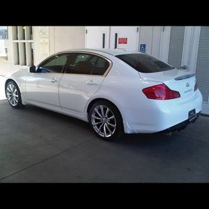 Meet your Posher, Sammy